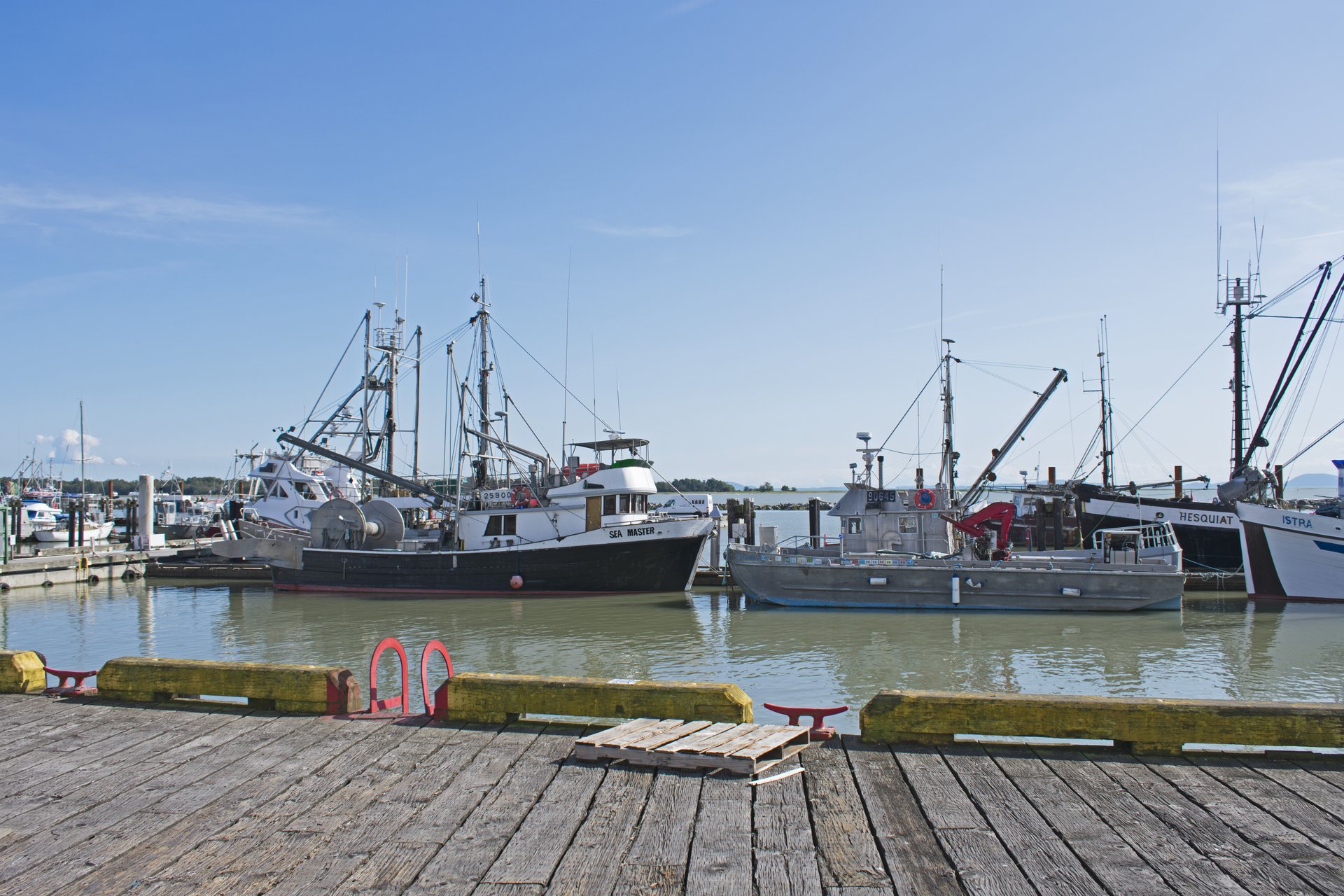 Steveston（史蒂文斯顿）